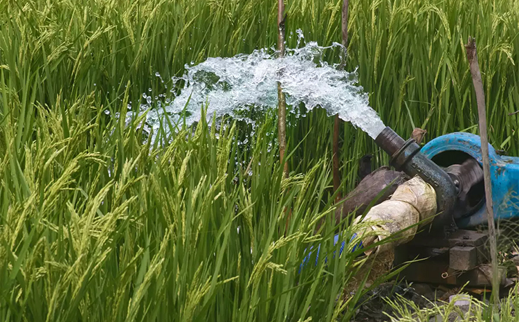 Forum de Haut Niveau sur l’Irrigation au Sahel (Dakar +10)